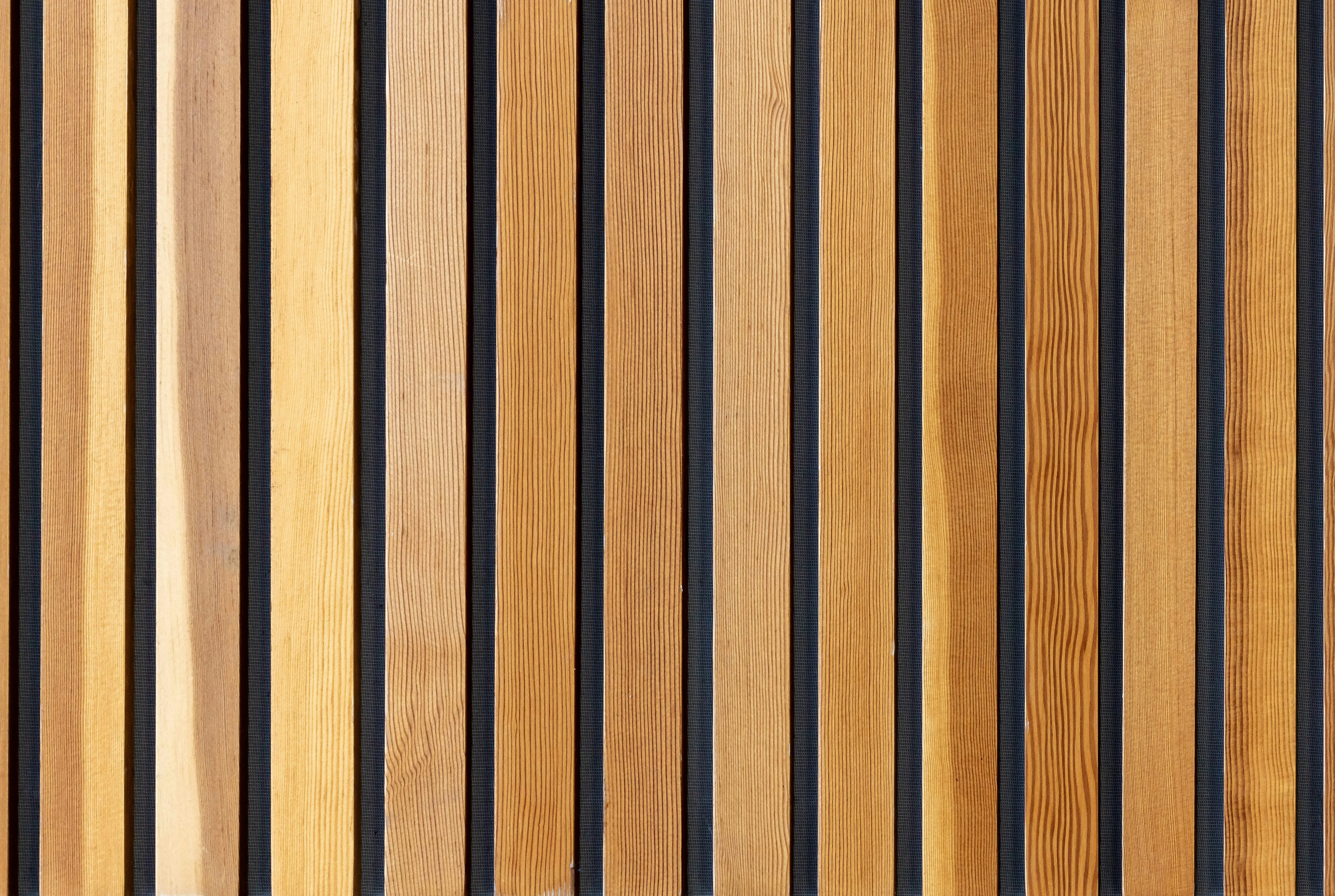 Fencing & Patio 1